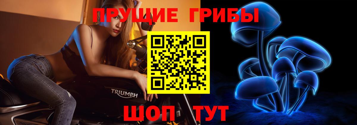 Псилоцибиновые грибы Magic Shrooms  Галлюциногенные грибы мицелий  Янаул  Вход с VPN 